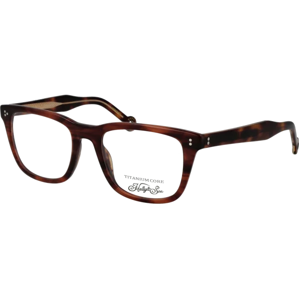 Hally & Son Optical Frame HS822V02 02 54