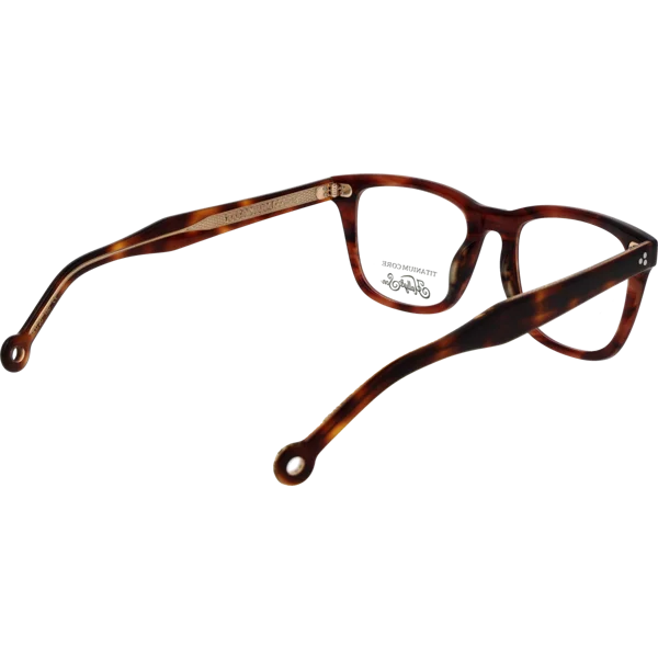 Hally & Son Optical Frame HS822V02 02 54