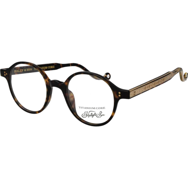 Hally & Son Optical Frame HS873V01 01 46