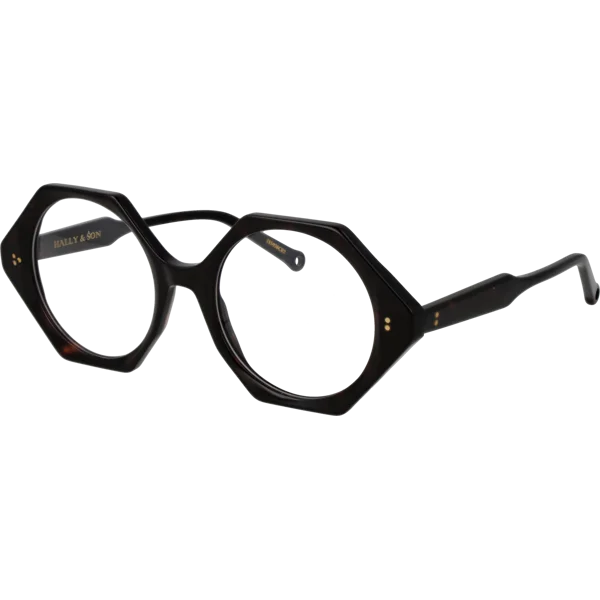 Hally & Son Frames with Sunglasses-Clips HS938C02 02 52