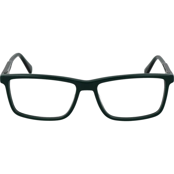 Gant Optical Frame GA50033 096 55