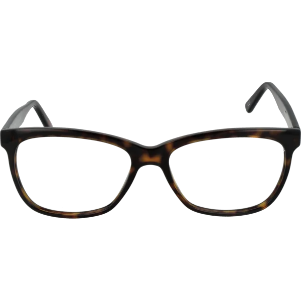 Andy Wolf Optical Frame 5036 B 55