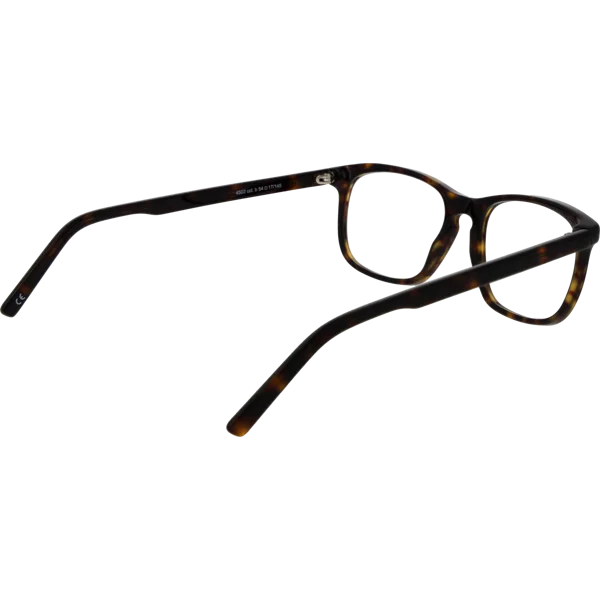 Andy Wolf Optical Frame 4503 B 54