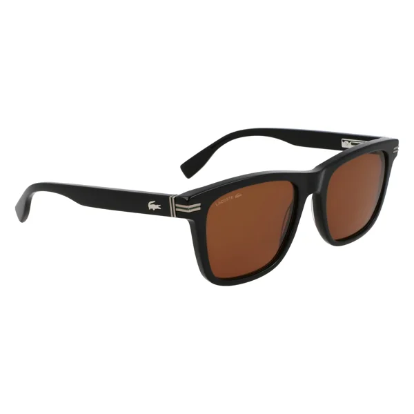 L6045S-1