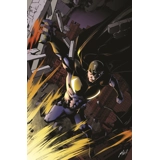 The Wraith A3 print 3
