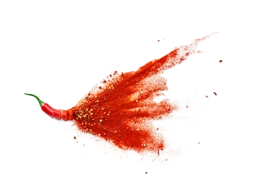 Prayag Hot Chilli Powder 1kg