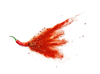 Prayag Hot Chilli Powder 1kg