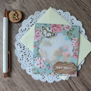 Shaker Card (Why, Hello!)