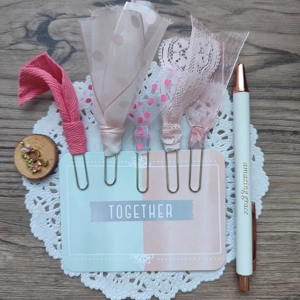 Ribbon Paper Clips Set 2 (big)