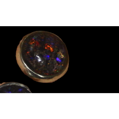 Andamooka rainbow matrix opal stud earrings