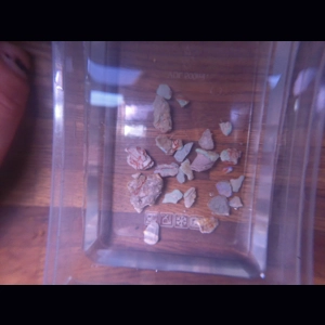 50ct rough beginner cut..