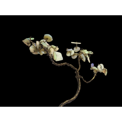 Opal Bonsai tree