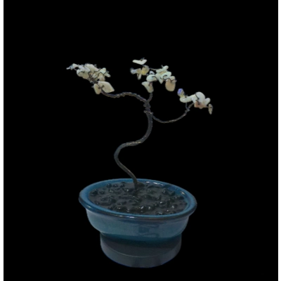 Opal Bonsai tree