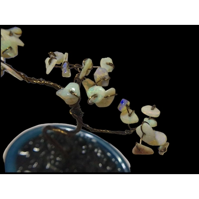 Opal Bonsai tree