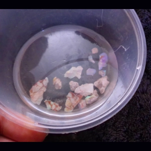 50ct rough beginner cut..