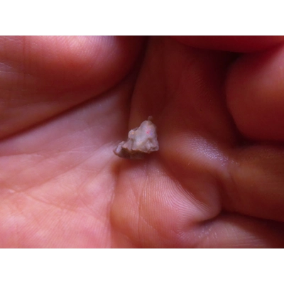 50ct rough beginner cutters parcel 50ct rough beginner cutters parcel