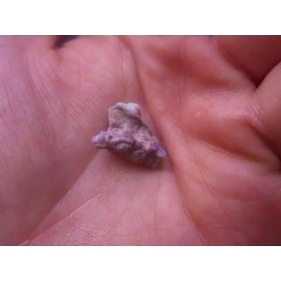 50ct rough beginner cutters parcel 50ct rough beginner cutters parcel