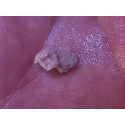 50ct rough beginner cutters parcel 50ct rough beginner cutters parcel