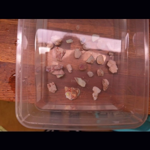 50ct rough beginner cut..