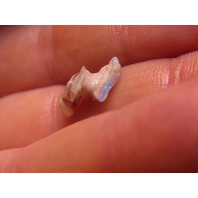 50ct rough beginner cutters parcel 50ct rough beginner cutters parcel