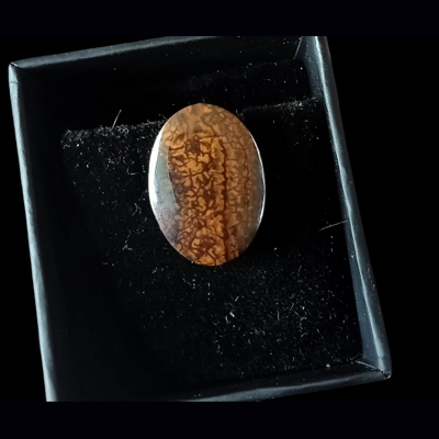 11ct Queensland boulder opal