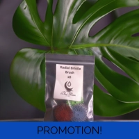 radial bristle brushes x8