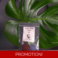 radial bristle brushes x8