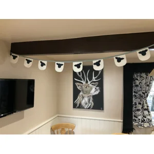 Sheep Bunting