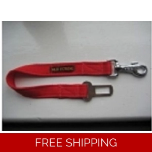 Dog Seat Belt Restraint
