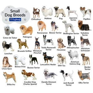 Soft Vinyl Nail Cap Protective Covers - Small Dogs