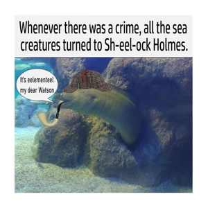 Sheelock Holmes eel funny card - Eel is criminal detective..