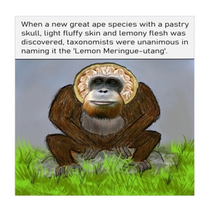 Lemon meringue Orangutan funny card - New great ape specie..