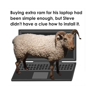 Laptop RAM funny computer card - Extra memory - Customisab..