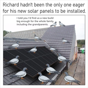Pigeons and solar panels card - A funny pigeon card, dad m..
