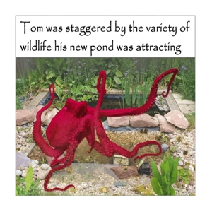 Octopus garden pond funny card, customisable for nature or..