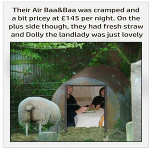 Rubbish Air baa and baa B&B funny card - Dolly the Sheep a..