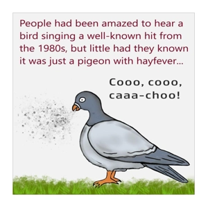 Pigeon has hayfever coo coo cachoo funny card, 80s pop mus..