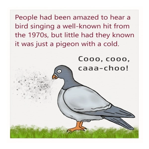 Funny Pigeon With Hay Fever Sneezes 70s Pop Hit - Coo Coo Cachoo