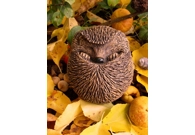 Adult Hedgehog - Handmade in stoneware..