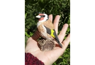 Goldfinch
