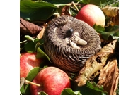 Baby Hedgehog - Handmade in stoneware ..