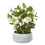 Faux White Hellebore Plant in Grey Ceramic Pot