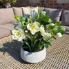 Faux White Hellebore Plant in Grey Ceramic Pot