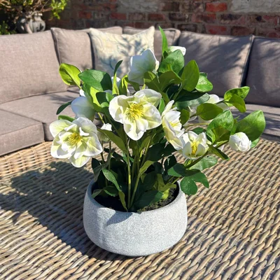 Faux White Hellebore Plant in Grey Ceramic Pot