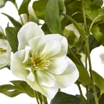 Faux White Hellebore Plant in Grey Ceramic Pot