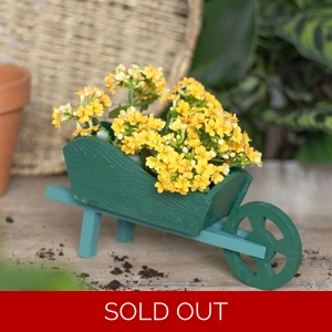 Whimsical Wheelbarrow Planter – Charming Garden Display for Flowers & Greenery
