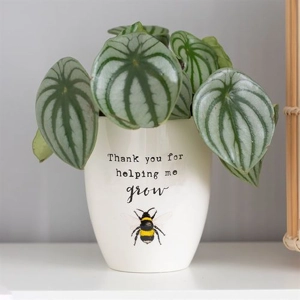 Ceramic Plant Pot with Bee Illustration