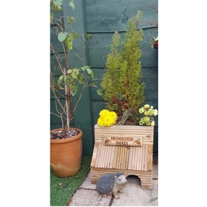 Hedgehog House Planter