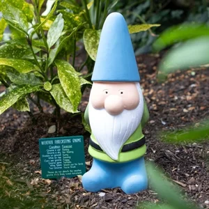 Funny Gnome Weather Forecast Ornament