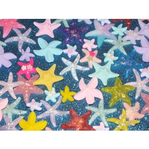 Mixed size & colour Starfish Shapes Resin Flatback Cabochon Craft DIY Choose Amount